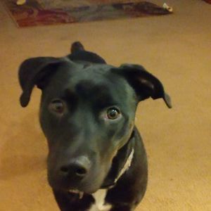 Meet your Posher, Warren